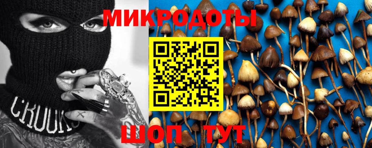 Лыткарино  Галлюциногенные грибы мухоморы  Галлюциногенные грибы Psilocybe  Вход с VPN 